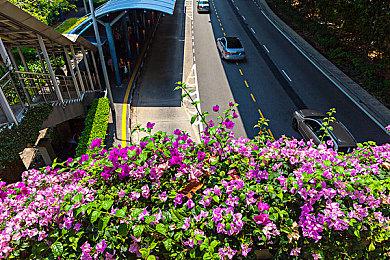 三款模拟经营开罗新游在Steam正式发售 首发享折扣